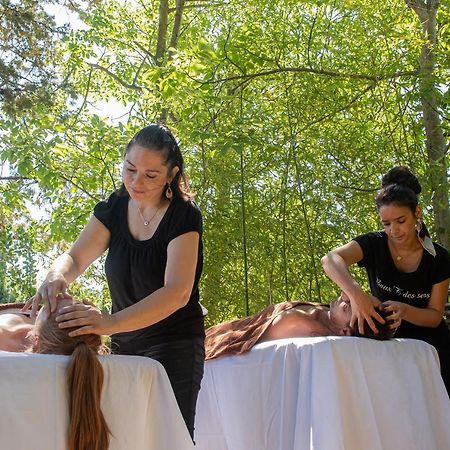 Hotel Mas Valentine Saint-Rémy-de-Provence Eksteriør billede